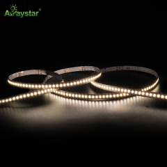 2216 Series LED Strip - ART-2216-280-24-6MM